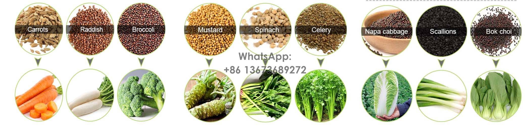 wide applications of vegetable seeder