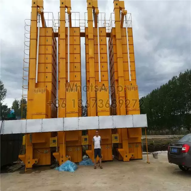 Rice dryer on site