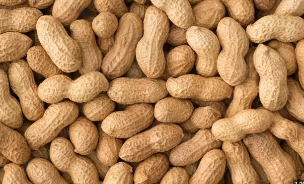 Peanuts