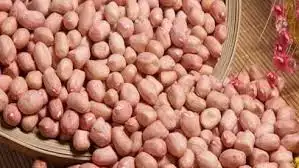 Groundnut kernels