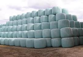 Silage bales