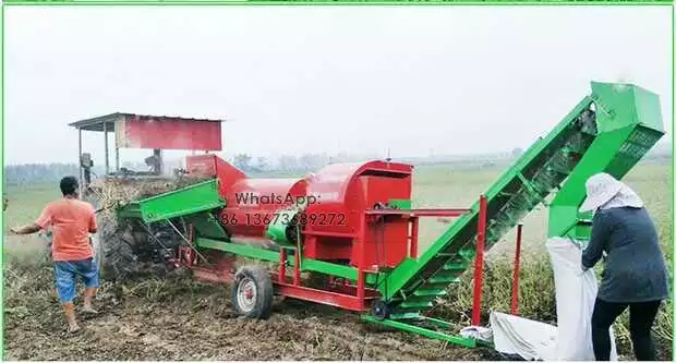 Scène de travail de la machine à cueillir les arachides