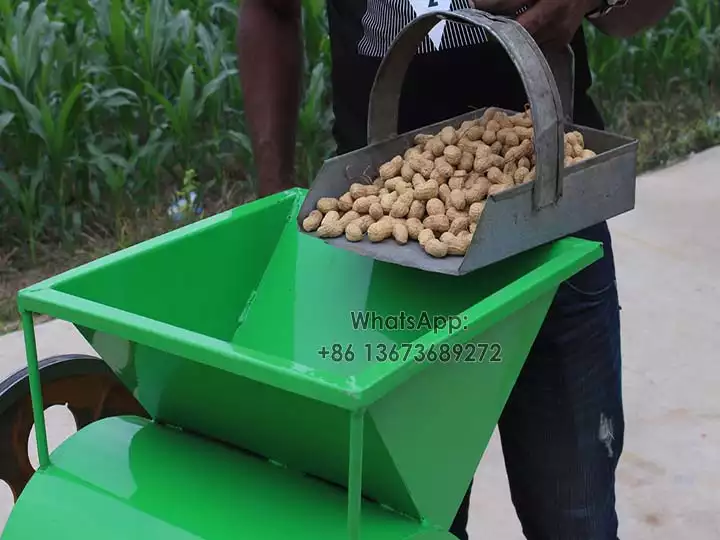 Put peanuts in