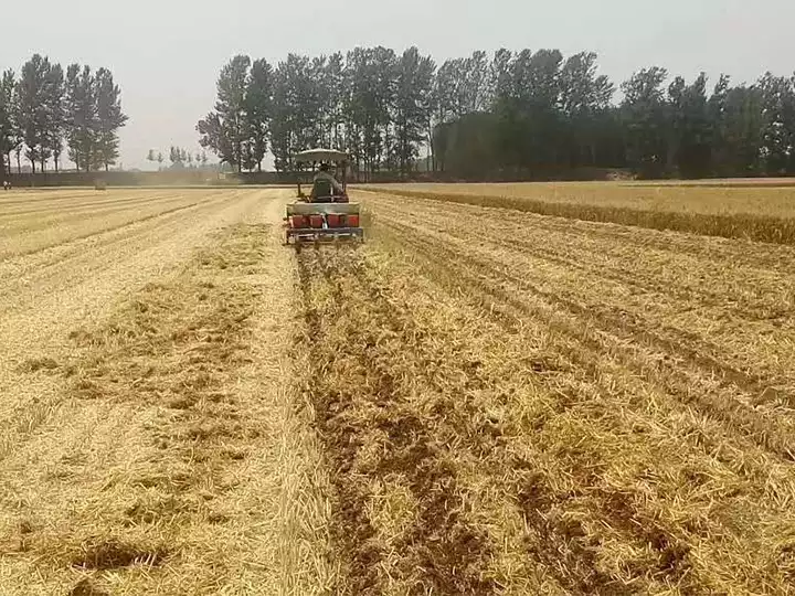 Planting peanuts