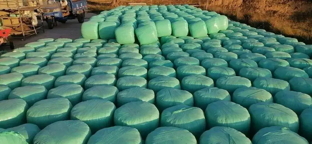 Silage bales for sale