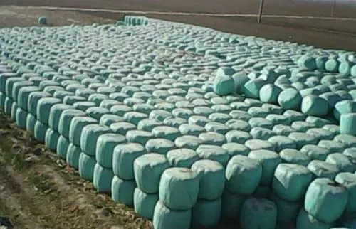 Nafaka silage bale