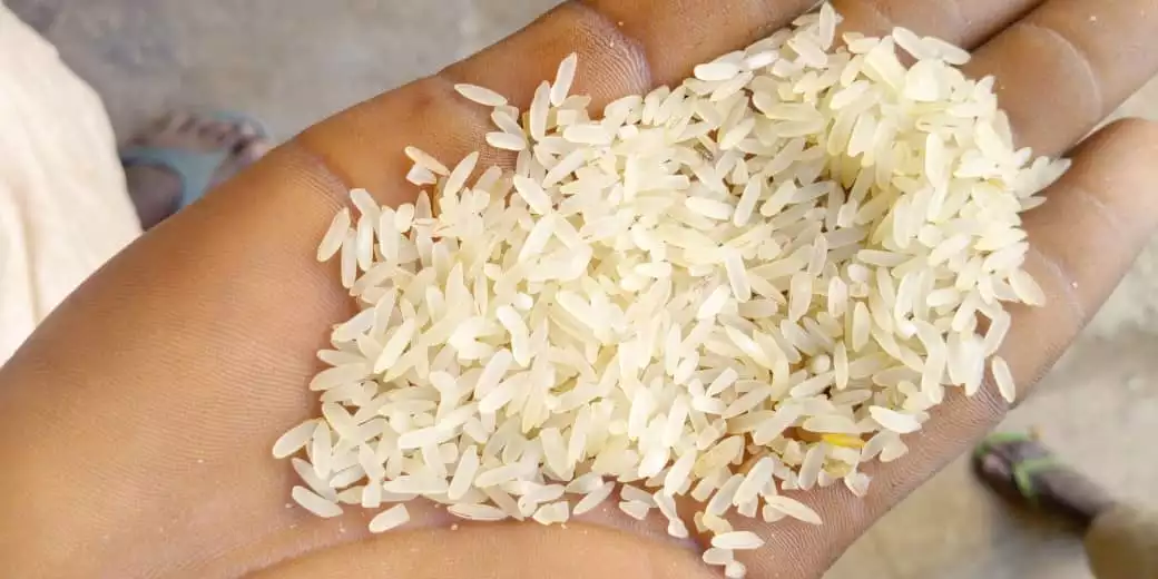 Arroz branco produzido por fábrica de arroz