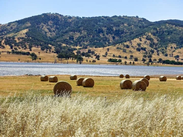 Bale dry hay with silage baler