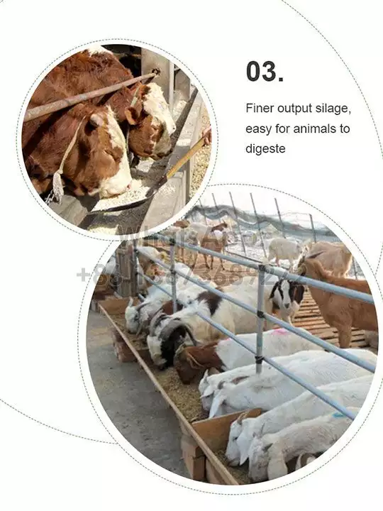Ensilaje más fino producido por mezcladores de alimento para ganado.