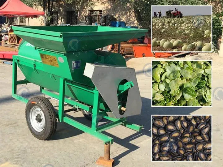 Máquina de extracción de semillas de calabaza y melón de buen rendimiento
