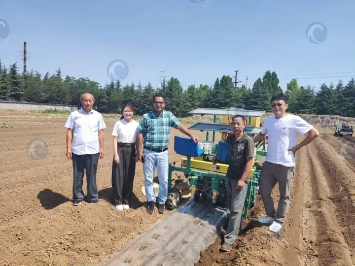 Planteuse de légumes mécanique sur le terrain