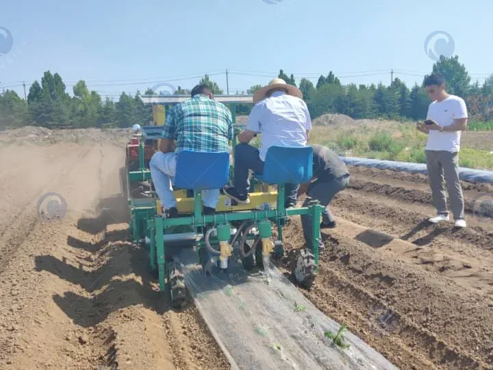 Transplanter bekerja di lapangan