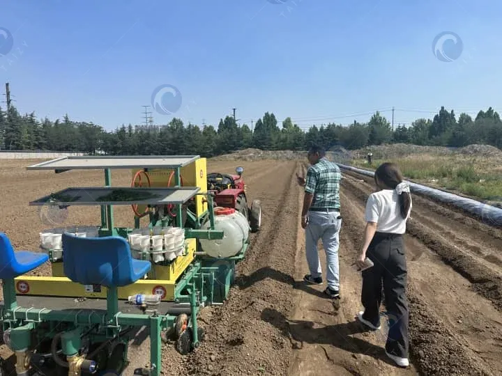 Vegetable transplanting machine for sale