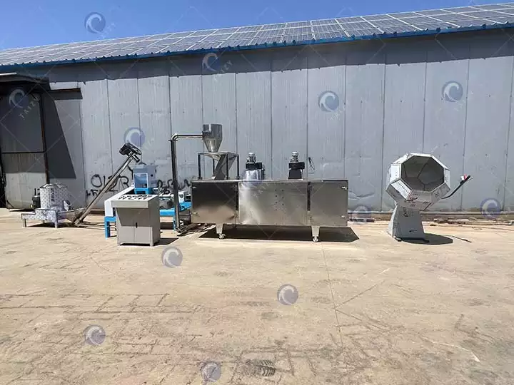 Fish feed extruder plant