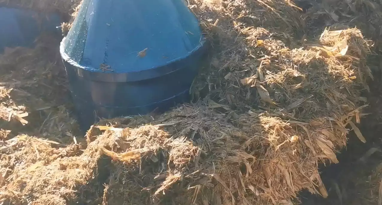 silage feed mixing