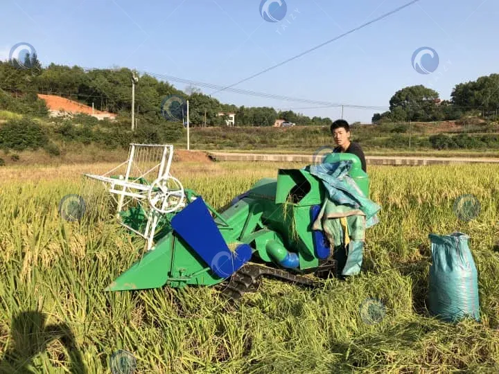 필리핀의 소규모 농장을 위한 저렴한 가격과 높은 효율의 미니 벼 수확기