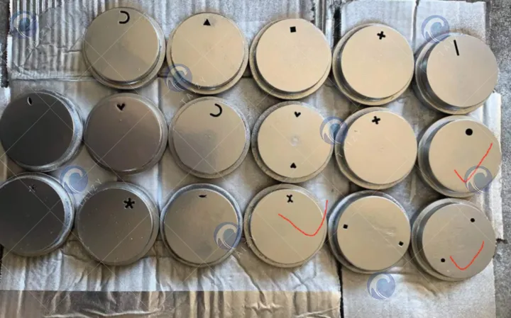 moldes para máquina de fabricación de pellets de alimento para peces