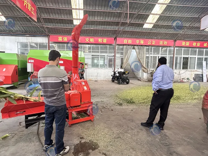 máquina picadora de ensilado en venta