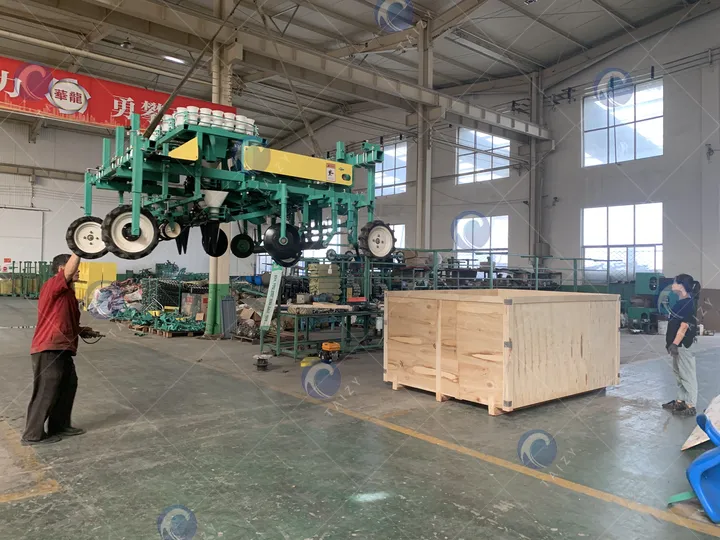 máquina de trasplante en venta