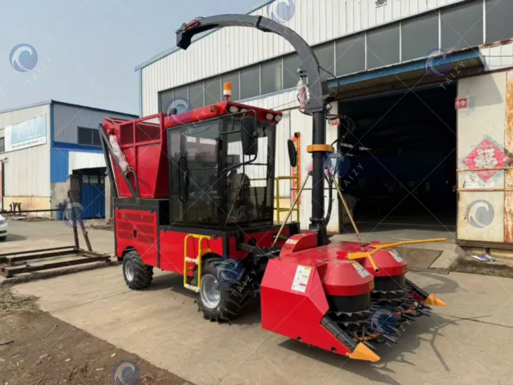Taizy self-propelled silage forage harvester machine for sale