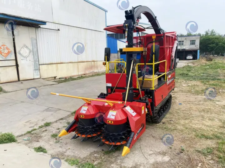 corn silage harvester for forage
