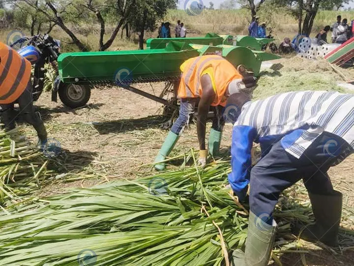cortadora de pasto para ensilaje