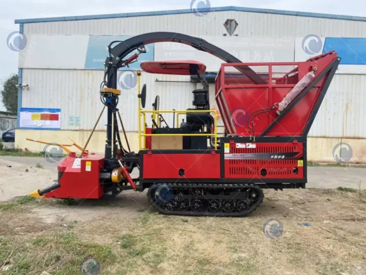 maize forage harvester machine for silage making