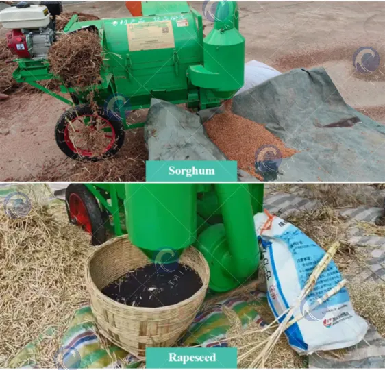 mesin penuai pelbagai tanaman untuk sorgum dan minyak rapeseed