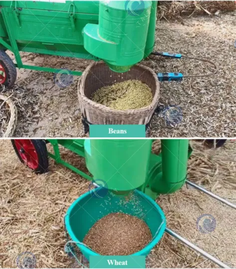 mesin penuai padi dan gandum untuk kacang dan gandum