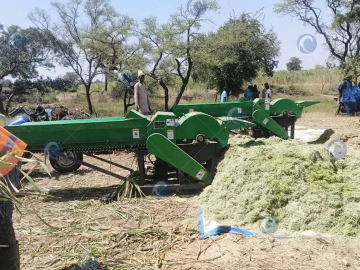 Escena de trabajo de la máquina picadora de ensilado