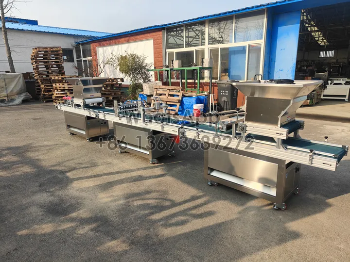 mechanical nursery seedling machinery