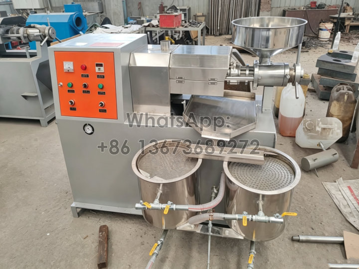 screw oil extraction machine for sale