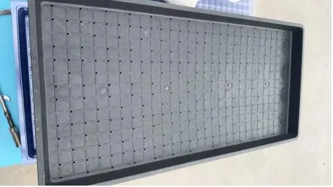 Rice seedling trays (hard)