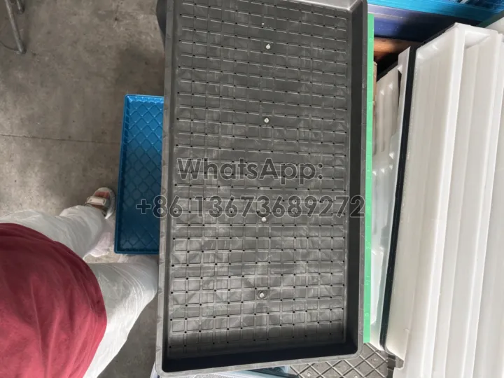 seedling tray for rice